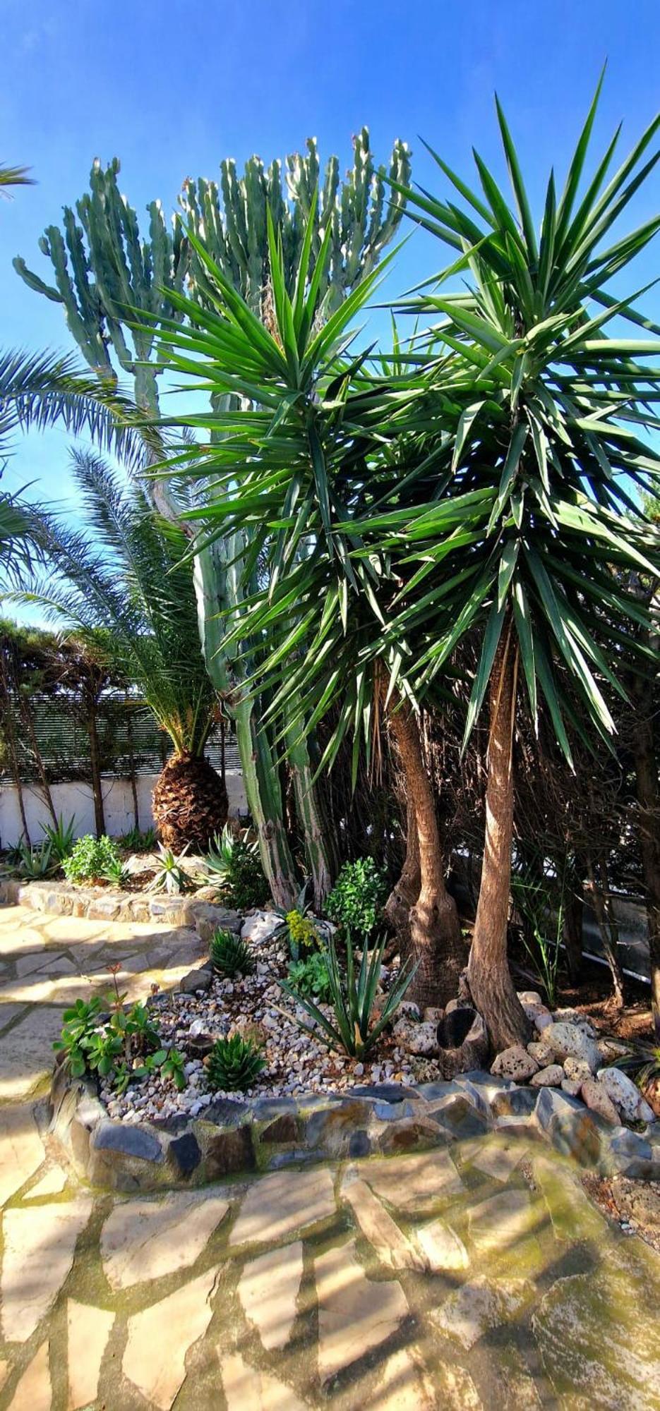 Casa Buganvilla L'Ametlla de Mar Exteriér fotografie